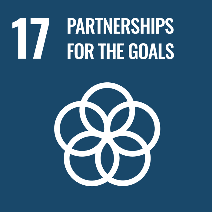 Logo for SDG Goal 17: Partnerships for goals